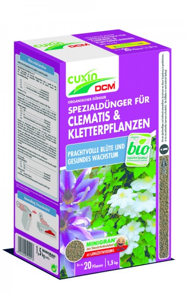 Clematis und Kletterpflanzen