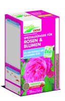 Rosen und Blumen