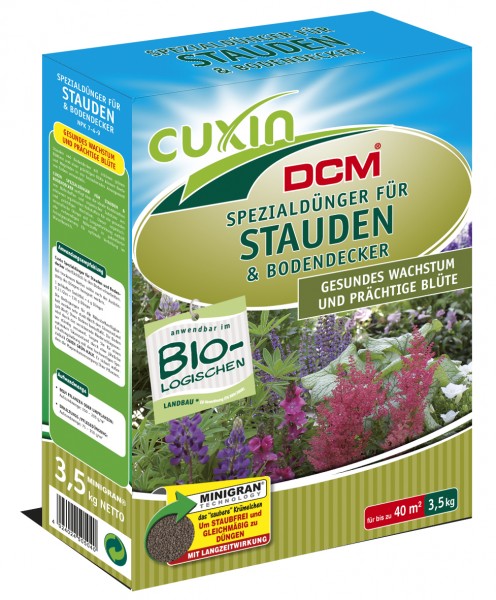 Stauden und Bodendecker