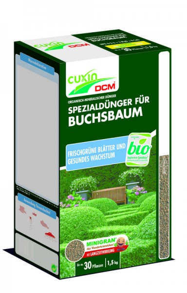 Buchsbaum