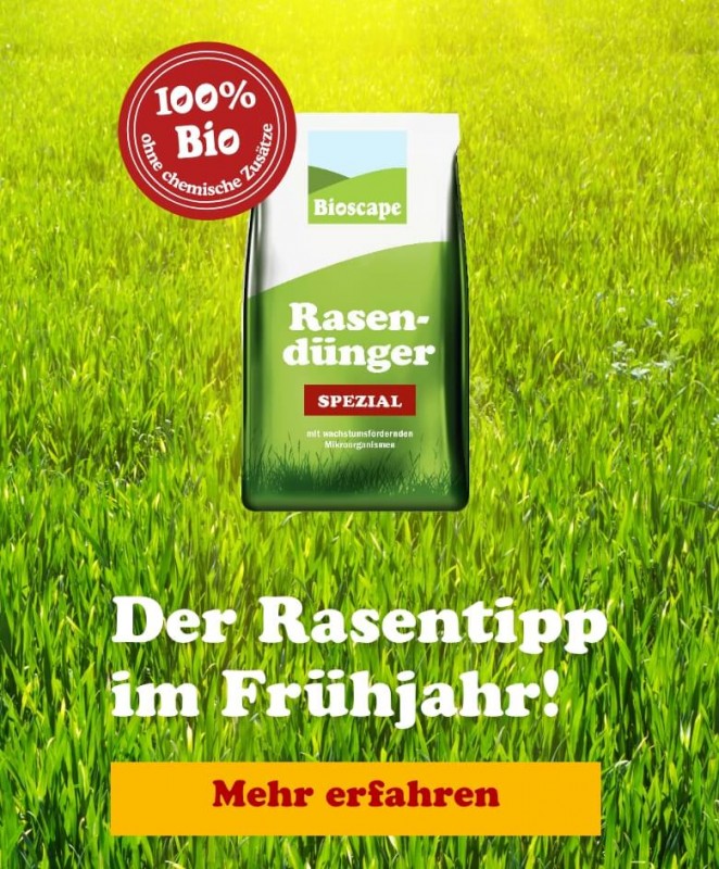 media/image/slider-mobil-fruejahr.jpg