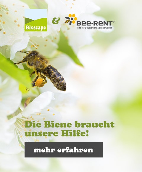 media/image/slider-mobile-bienen-new.jpg