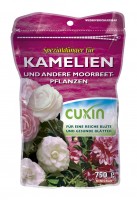 WF Kamelien